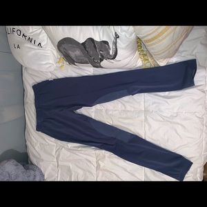 English Riding Pants